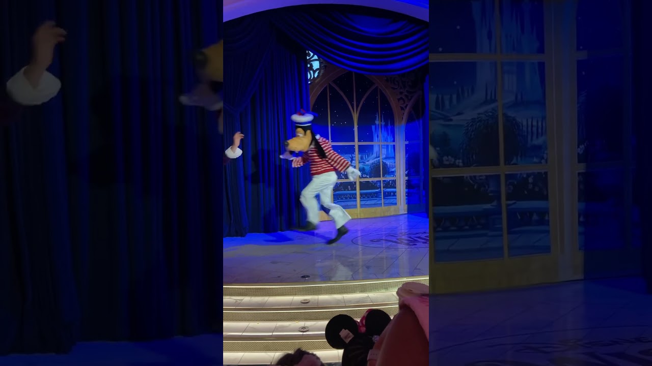 最後の夜👑DCL WISH