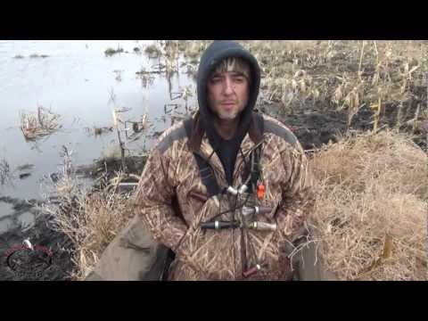 North Dakota duck
