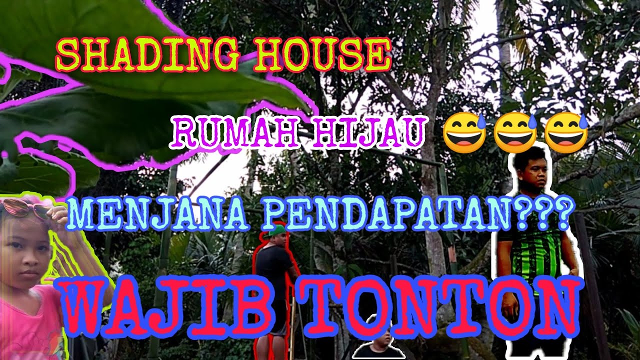 CARA MEMBUAT RUMAH HIJAU | CARA MENJANA PENDAPATAN ...