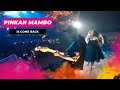 Capture de la vidéo Pinkan Mambo, Is Come Back | Guitar Cam