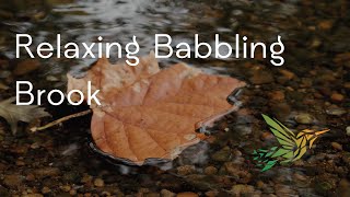 10 hours of Stream Sounds | Babbling brook | Natural Pink Noise for Relaxation, studying, sleeping |