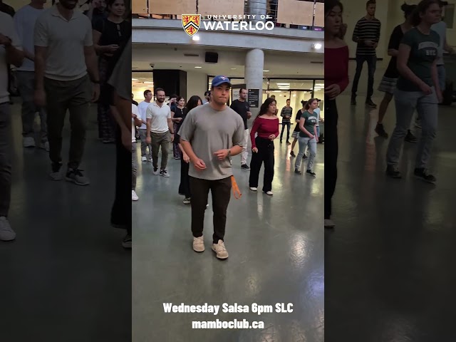 mamboclub.ca