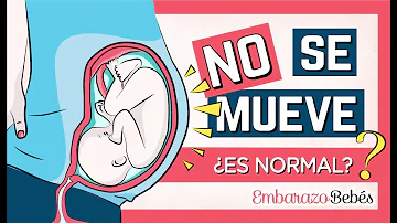 ¿Qué ocurre si tu bebé no se mueve en todo el día?