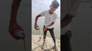 Riverside Hook Fishing with Coca cola catfish bite #fishing #fish