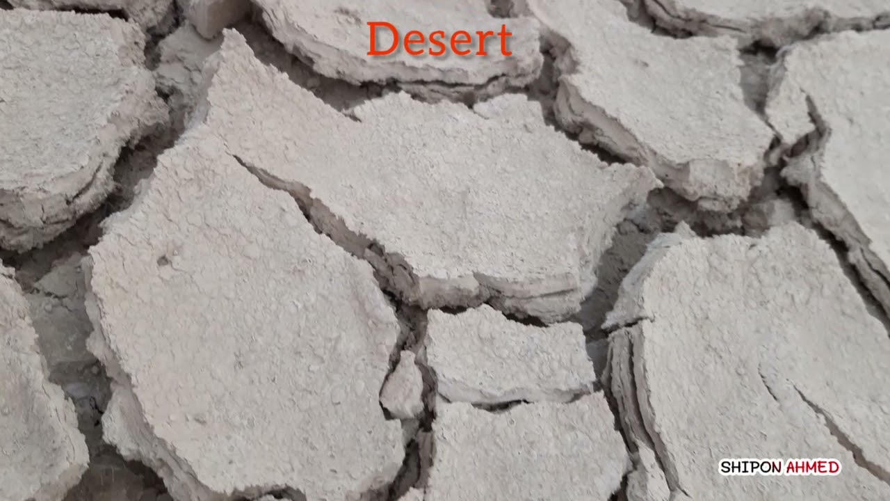 Qatar Al-Karana Bird Watching Spot..