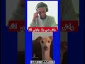 #aitrbaâ #b19 #tadla #benimellal #casa #maroc #lferda #lghorba #dimarap #lbenj #valentino #
