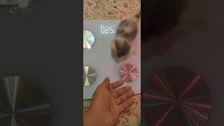 Tutu Weight 30 Grams This Video Has 19 Millions Views On Tiktok