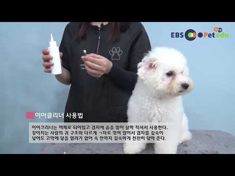 [EBS펫에듀] 필수 애견미용도구사용법
