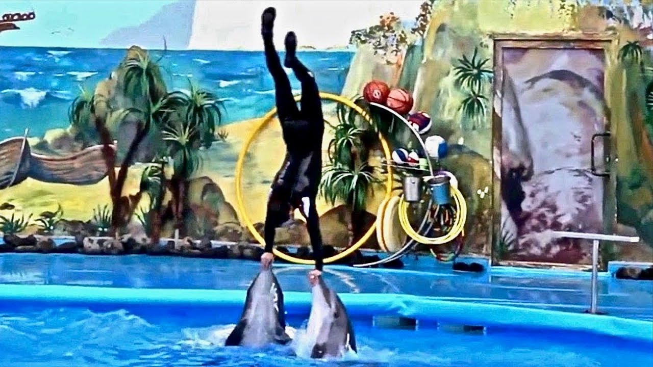 MAN AND BEAST - Part 30