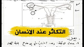تمرين جيد للسنة اولى متوسط علوم طبيعية على التكاثر عند الانسان