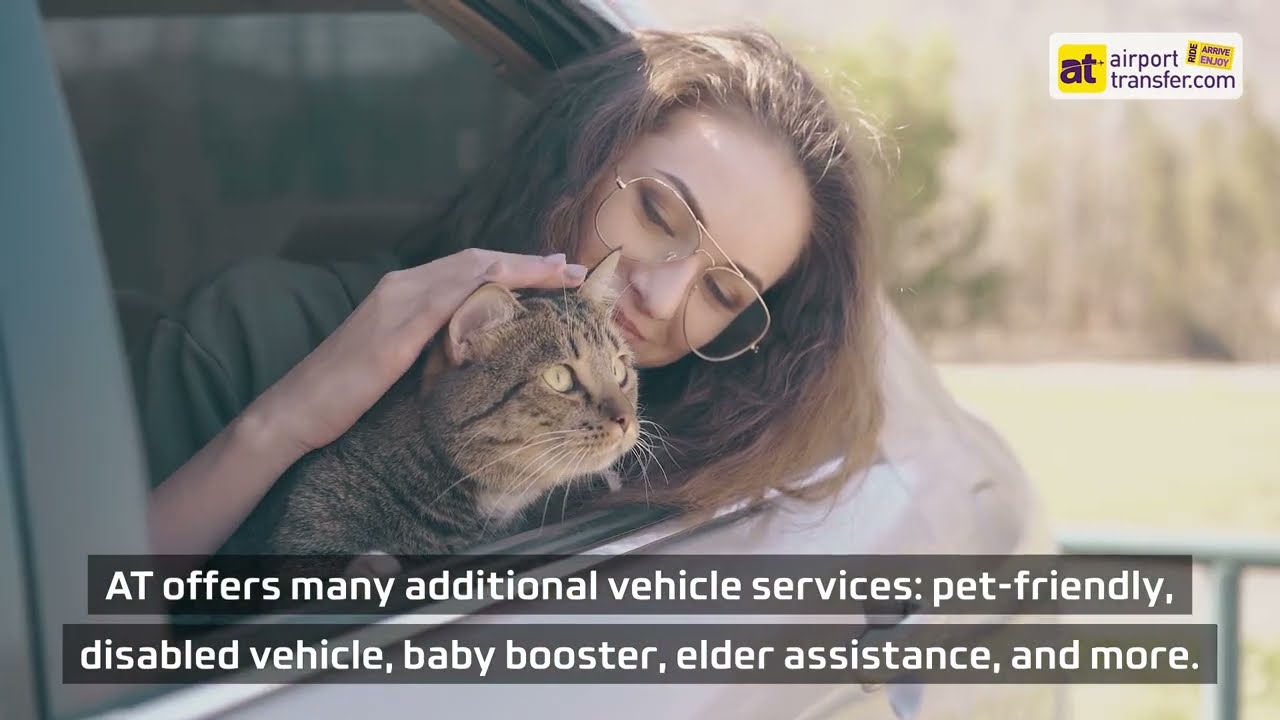 Bilbao Airport to City Center - Free Cancellation | Transportation Options | Travel in Spain 