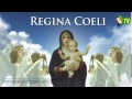 Regina coeli guadalupe radio tv