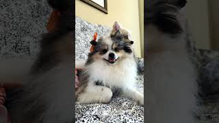 Good Morning Friends