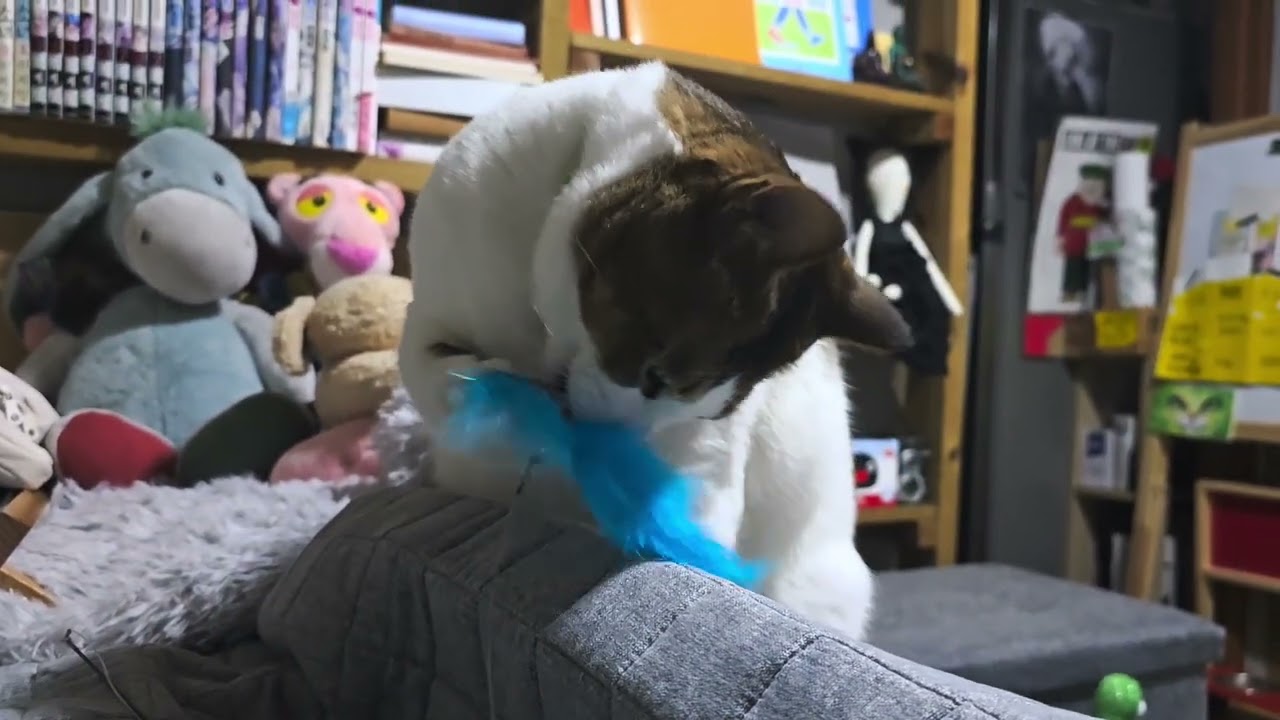 자세히 보아도 예쁘다. 오래 보아도 샤릉스럽다. 