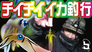 チイチイイカを釣りに Youtube
