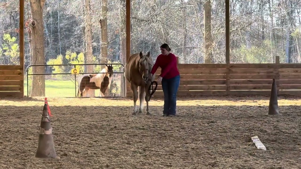 December Challenge 2025