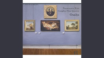 Quartet No. 1 for Flute, Violin, Viola and Violoncello in D Minor, WoO 35: I. Allegro