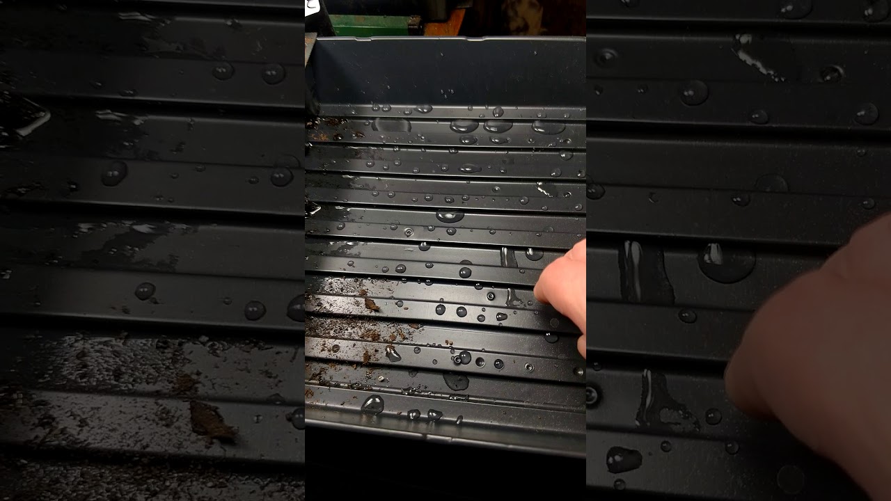 Germinating seeds for super hot peppers/ 