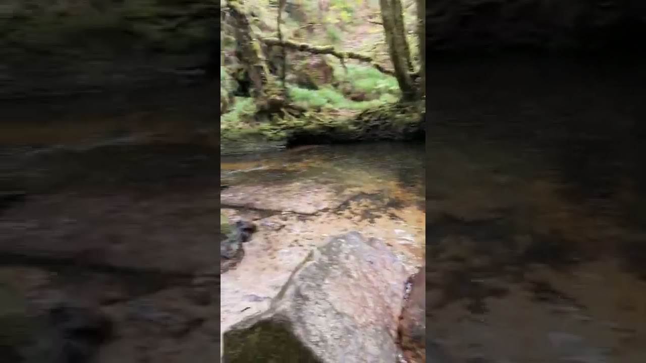 Golitha Falls in Cornwall