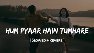 Hum Pyaar Hain Tumhare (Slowed   Reverb) | Alka Yagnik, Kumar Sanu | Sameer | SSR Lofi