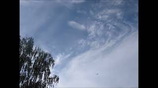 Giovanni Marradi  Sofias Dream