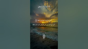 اكتب شيء تؤجرعليه💚قرآن كريم |القاري اسلام صبحي | من سورة النازعات #اسلام_صبحي #قران_كريم #shortvideo