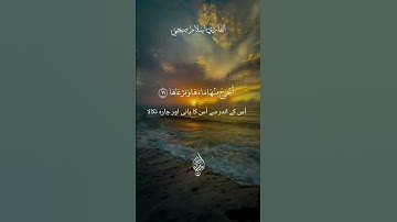اكتب شيء تؤجرعليه💚قرآن كريم |القاري اسلام صبحي | سورة النازعات #اسلام_صبحي #قران_كريم #shortvideo