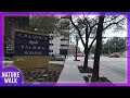 Explore Houston, Texas with a tranquil walk (City Walk Visualizer)