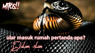 mitos arti Ular masuk rumah,membawa petaka! dalam islam.