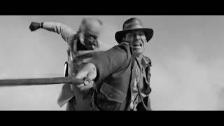 Indiana Jones Punch Sequences (Punch Sounds only)