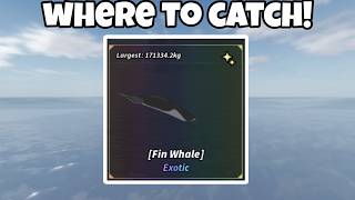 HOW TO CATCH THE NEW *FIN WHALE* In FISCH... screenshot 2