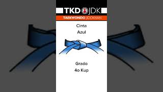Evolución de las cintas en Taekwondo Jidokwan Dynamic Campestre.