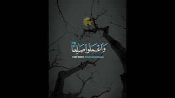 #عبدالرحمن_مسعد #سورة_المؤمنون #القرآن_الكريم