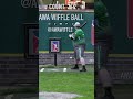 He Broke the Bat😭 #dingersornothing #wiffleball #baseball #shorts