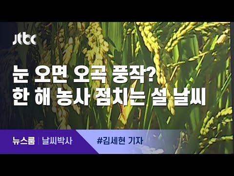 [<strong>날씨박사</strong>] 눈 오면 오곡 풍작? 한 해 농사 점치는 설 날씨