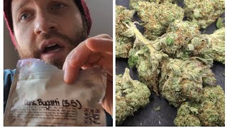 "Dank Bugatti" Thca Small Buds indoor hemp chill session Bugatti Og Strain Review