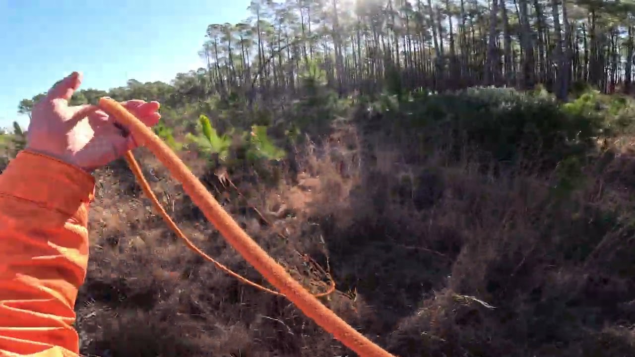 12 Feb 2 Good returns to line