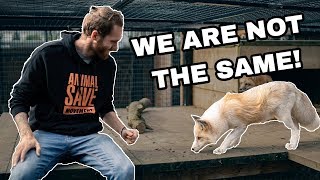 Vegans Are LYING To You