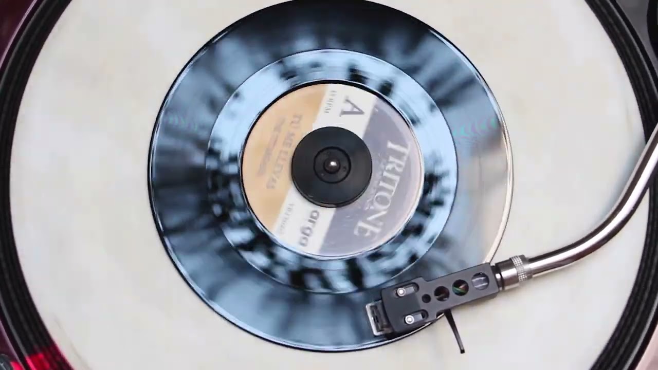 Rod Taylor - I Never Stop Loving You + Dub - 12
