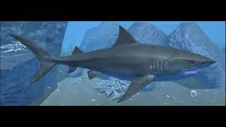 Great White Shark From Ultimate Shark Simulator screenshot 4