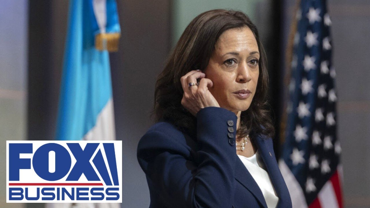 VP Harris accomplished 'absolutely nothing' during border trip: Judd
