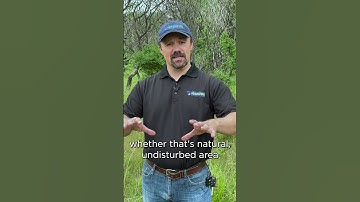 How to Attract Pollinators to your Home