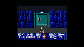Wolfenstein3D MSTE
