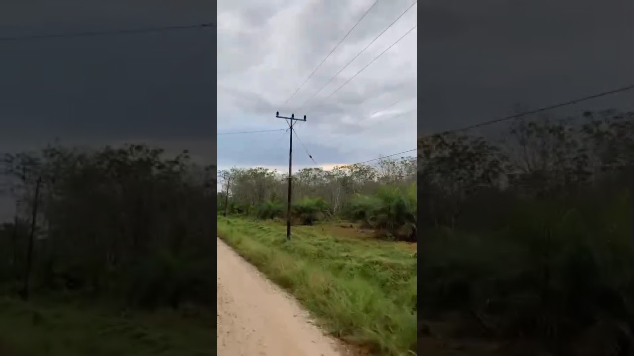 Jalan Menuju Desa Tunggal Bhakti