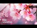 Japanese Zen Flute | Sakura Ambience for Deep Relaxation 🌸 #zenmusic #birdsong #asmr #agua