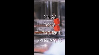 How to design experiments using cell culture #shorts