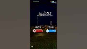 من سورة فاطر | بصوت الشيخ وديع اليمني | #غزة_تموت_جوعا#غزة_تُقتل_جوعا#غزة_تباد#غزة_تنزف#غزة#فلسطين
