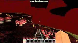 Nether coaster