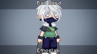 Bad Word Ethoslab Hermitcraft Rushed Everything Is Platonic