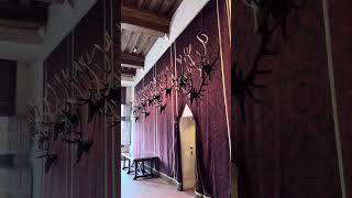 Hunting trophies inside chateau de Chambord #chateau #loirevalley